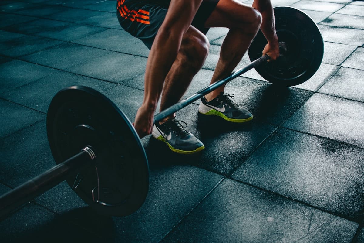 FitPulse Fitness App
